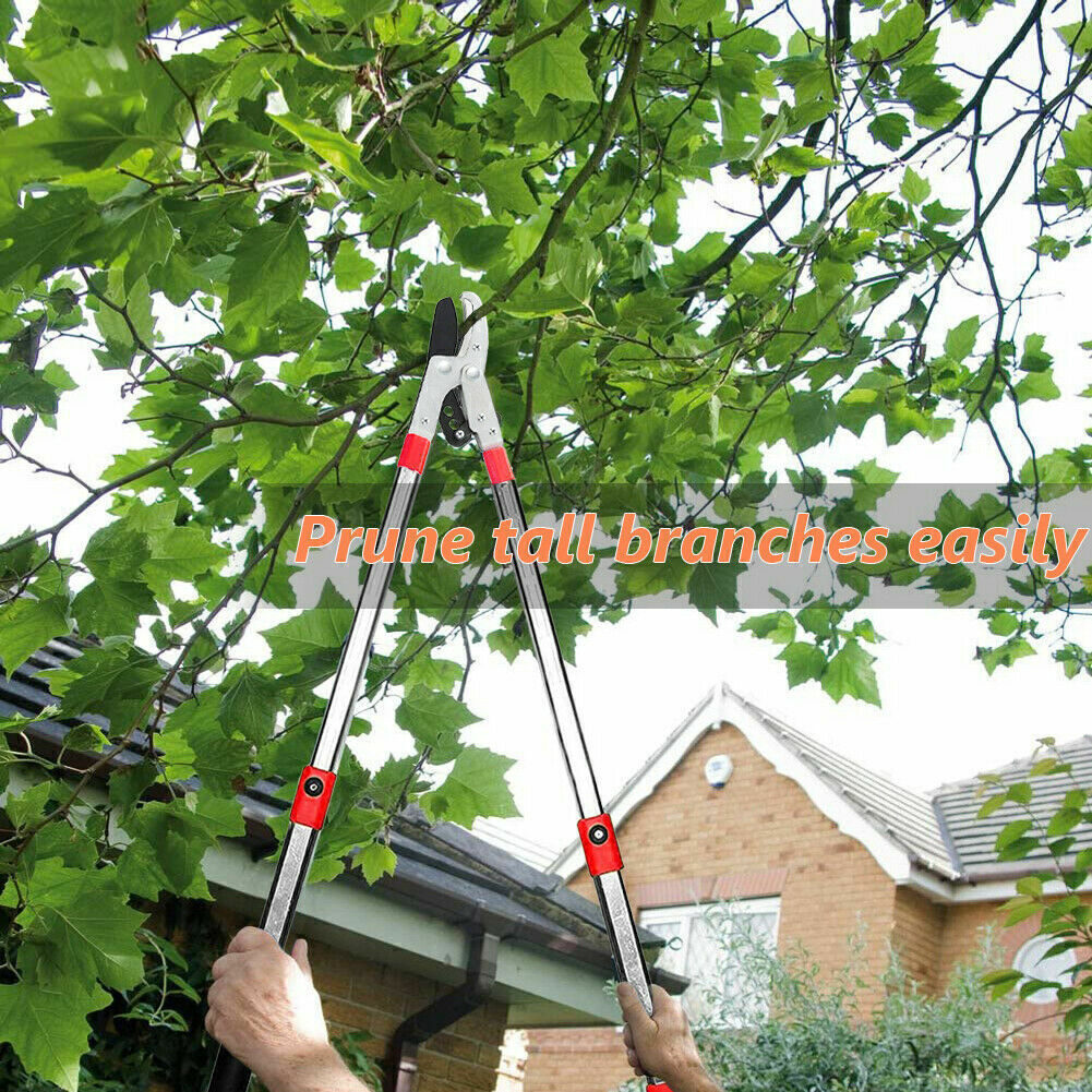 Heavy Duty Telescopic Long Handle Lopper Extend Tree Branch Anvil Pruner Cutter