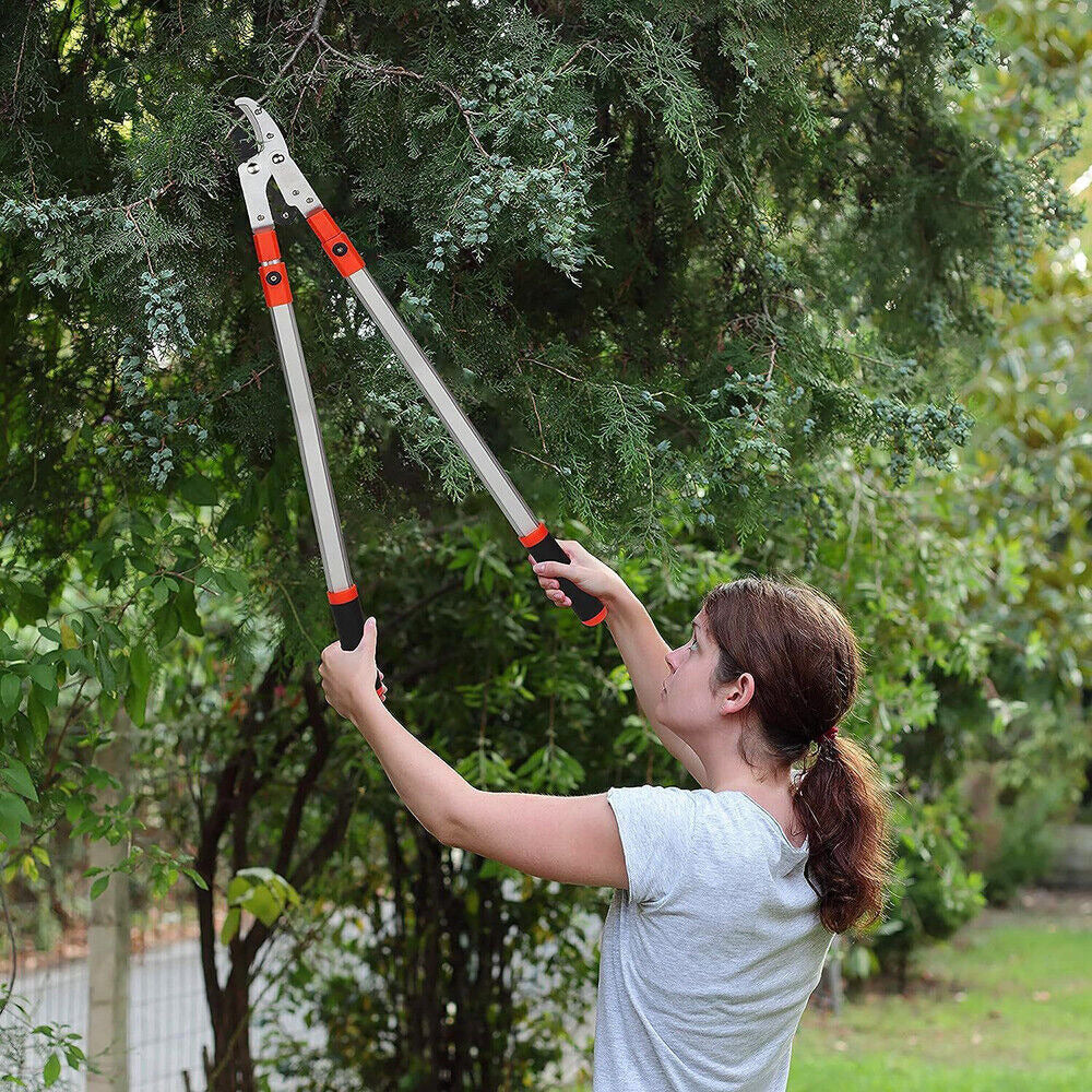 Heavy Duty Telescopic Long Handle Lopper Extend Tree Branch Anvil Pruner Cutter