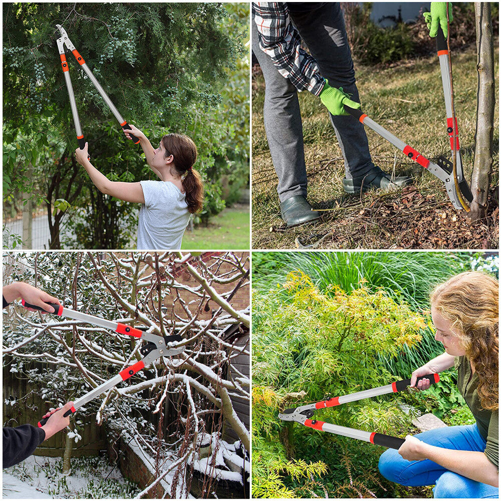 Heavy Duty Telescopic Long Handle Lopper Extend Tree Branch Anvil Pruner Cutter